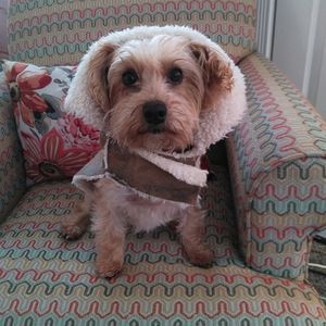 Meet your Posher, Susan